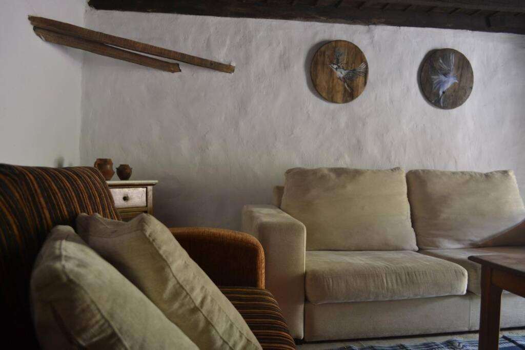 Casa Rural Lomito Del Pino Tejeda  Εξωτερικό φωτογραφία