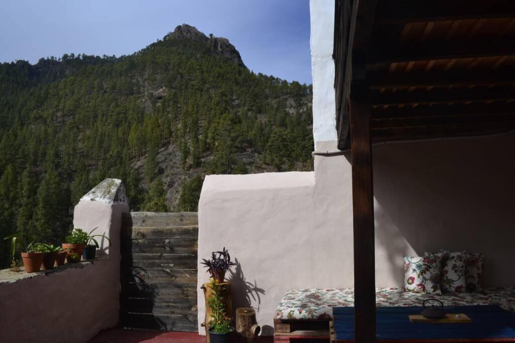 Casa Rural Lomito Del Pino Tejeda  Εξωτερικό φωτογραφία