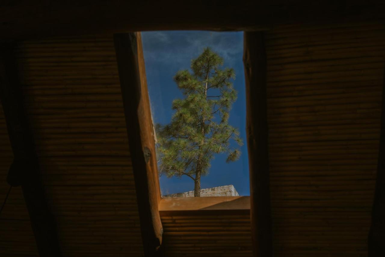 Casa Rural Lomito Del Pino Tejeda  Εξωτερικό φωτογραφία
