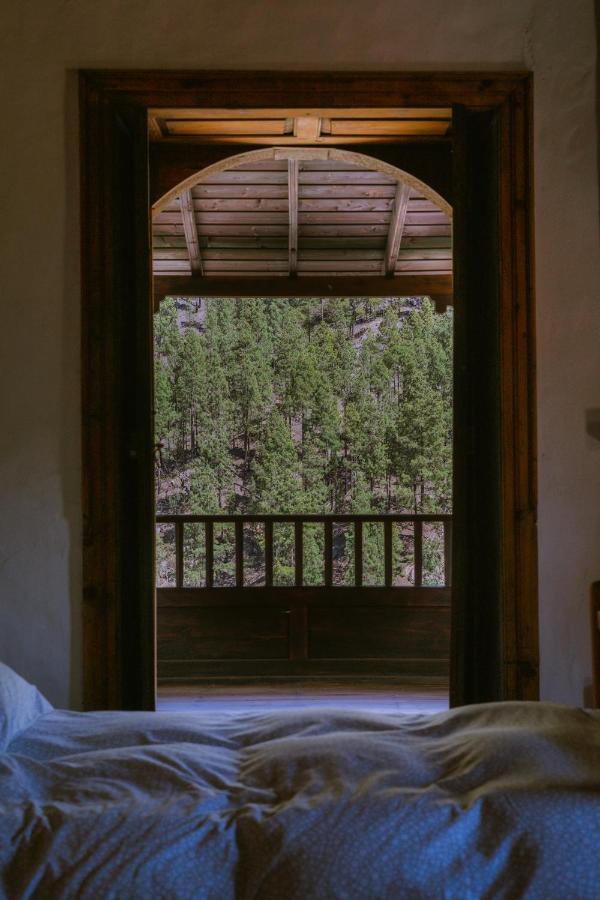 Casa Rural Lomito Del Pino Tejeda  Εξωτερικό φωτογραφία